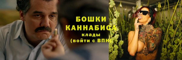 гидра Алексеевка