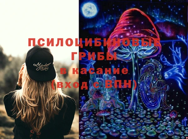 гашик Арсеньев