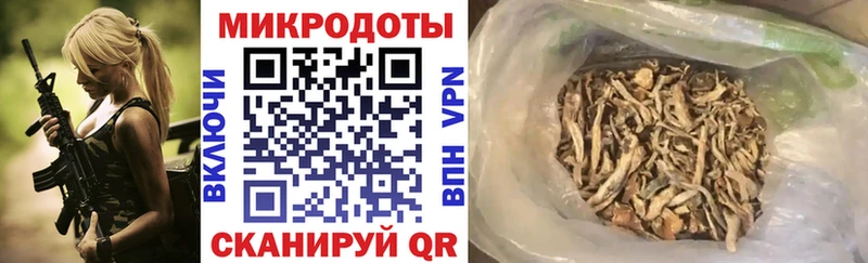 Галлюциногенные грибы Psilocybe где продают наркотики Чернушка